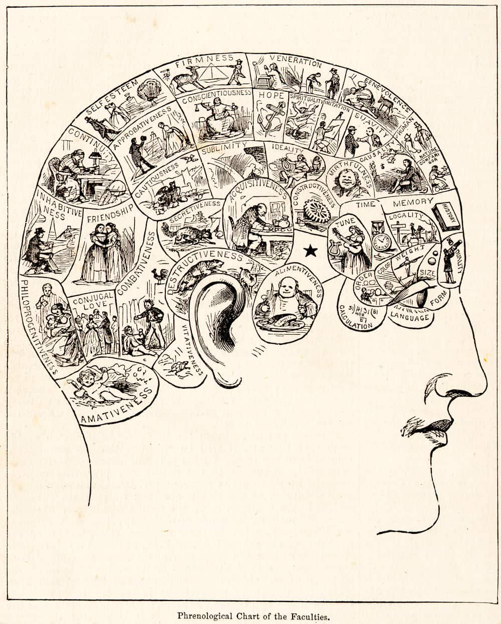 Peaple’s Cyclopedia of Universal Knowledge: Phrenological Chart of the Faculties (1883)