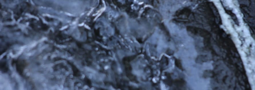 Francesco Bertelè, «Sagas», video_performance 20’, 2015. Music and performance by Nick McMullan.