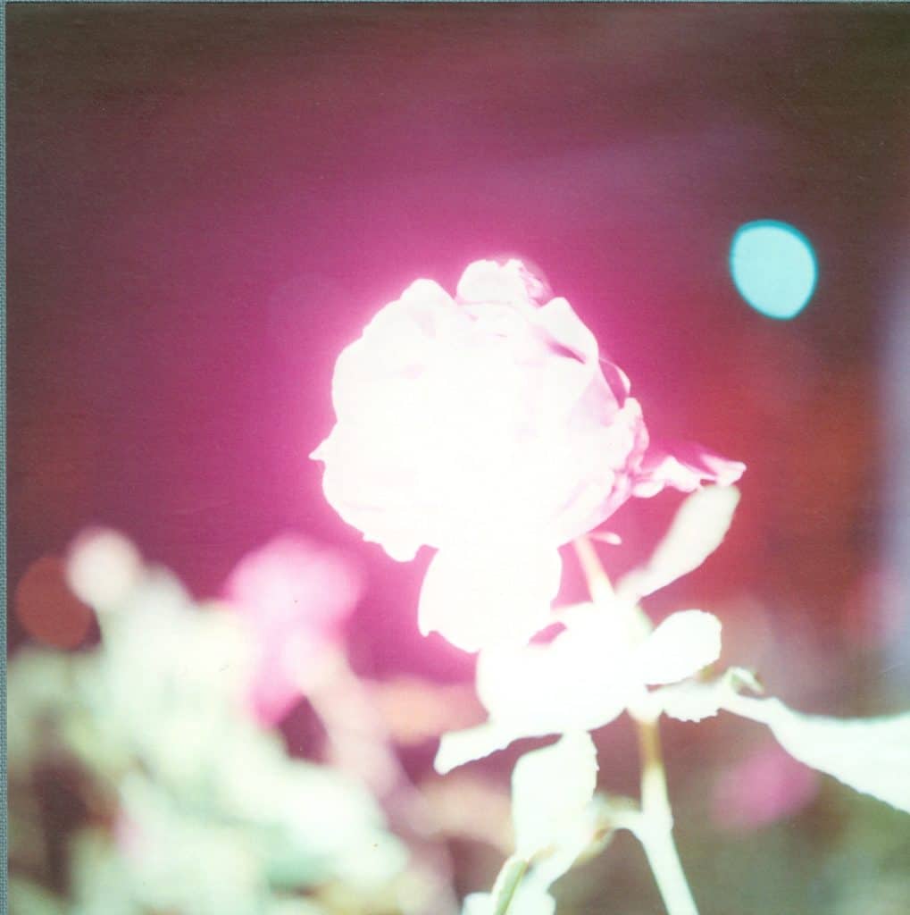 Rinko Kawauchi, <em>Illuminance</em>, 2011. Fotografia a colori.