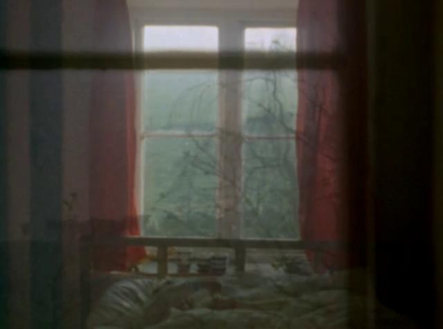 P. Greenaway, Windows, 1975